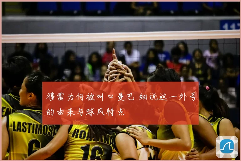 穆雷为何被叫口曼巴 细说这一外号的由来与球风特点