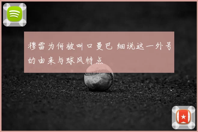 穆雷为何被叫口曼巴 细说这一外号的由来与球风特点