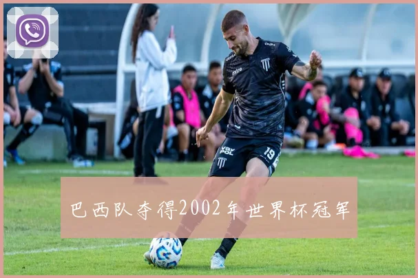 巴西队夺得2002年世界杯冠军