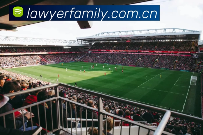 米乐M6(中国) - 官方网站平台生态图