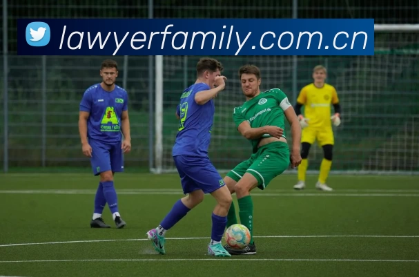 辅助工具 辅助工具